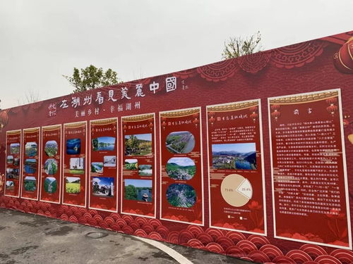 我们的村晚，真热闹 文化传承的乡土盛宴