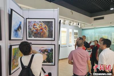 让世界看见秦岭 文化宣传活动优秀作品展在西安启幕